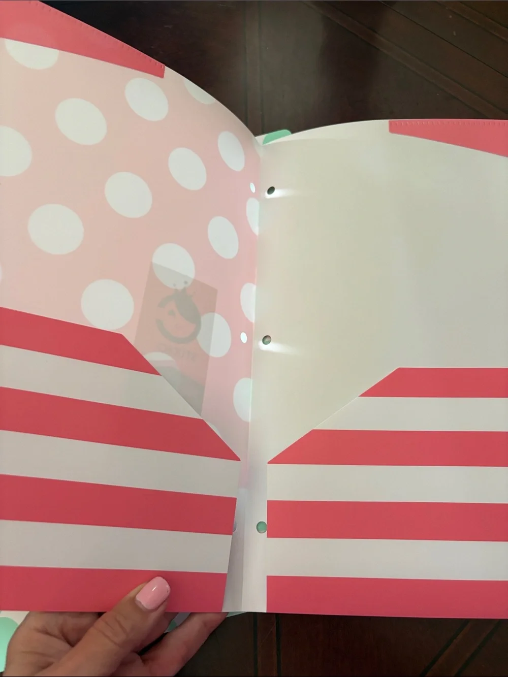 Studio C Patterned 2-Pocket Folders - Blue, Pink, Mint, the Pattern Play Coll.